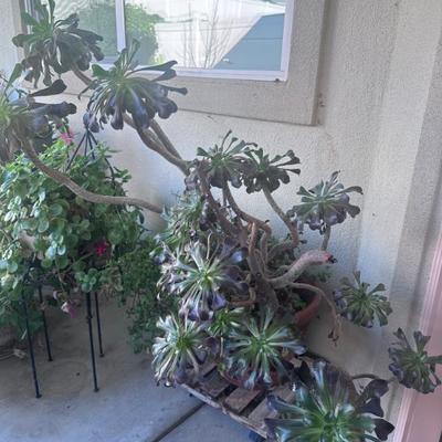 Sale Photo Thumbnail #154