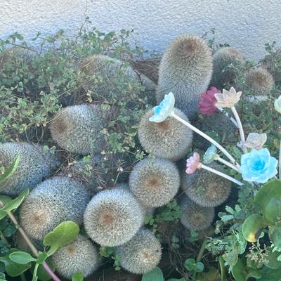 Sale Photo Thumbnail #165