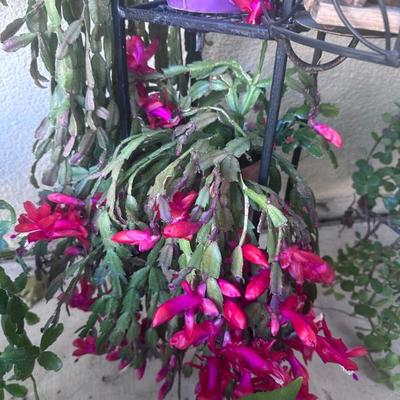 Sale Photo Thumbnail #158