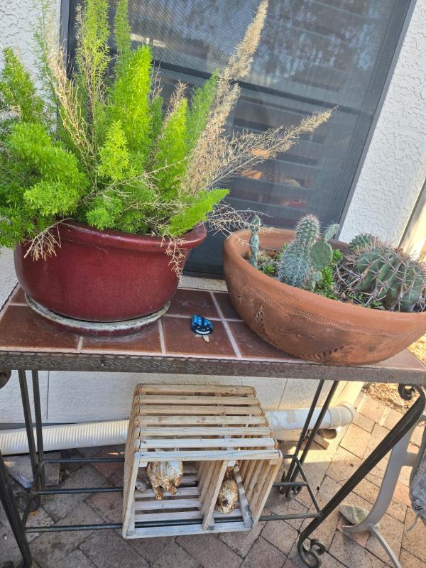 Sale Photo Thumbnail #24