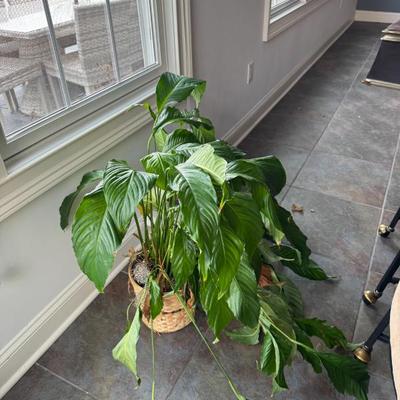 Sale Photo Thumbnail #415