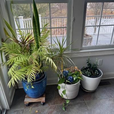 Sale Photo Thumbnail #414