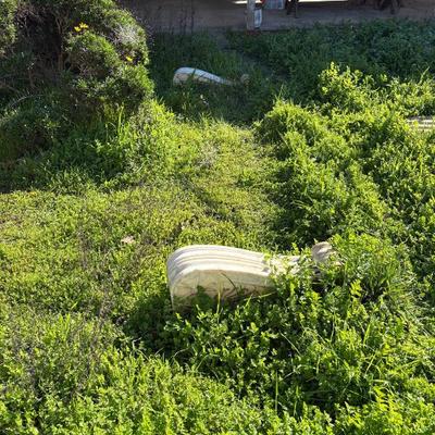 Sale Photo Thumbnail #266