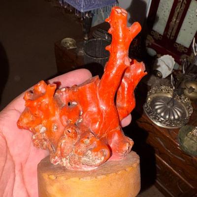 Sale Photo Thumbnail #229