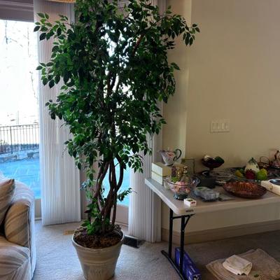 Sale Photo Thumbnail #74