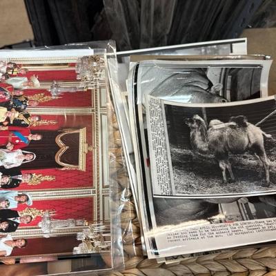 Sale Photo Thumbnail #224