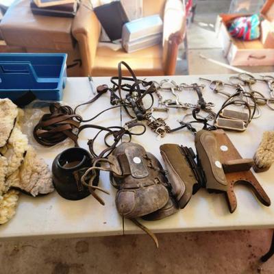 Sale Photo Thumbnail #271