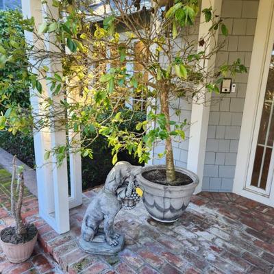 Sale Photo Thumbnail #106