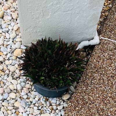 Sale Photo Thumbnail #15