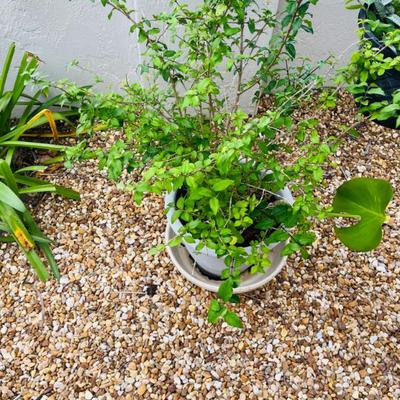 Sale Photo Thumbnail #28