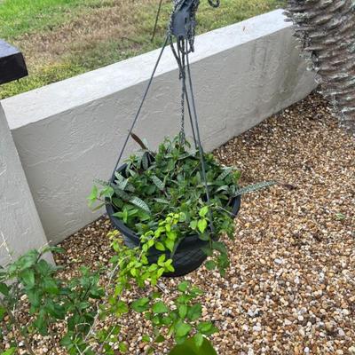 Sale Photo Thumbnail #62