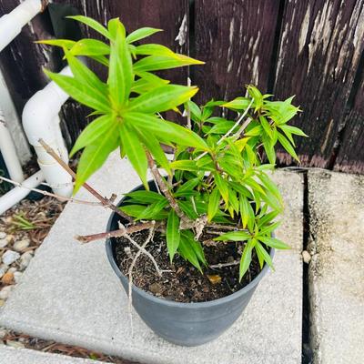 Sale Photo Thumbnail #103