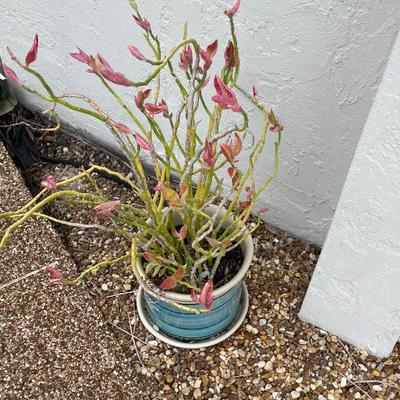 Sale Photo Thumbnail #47