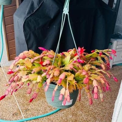 Sale Photo Thumbnail #73