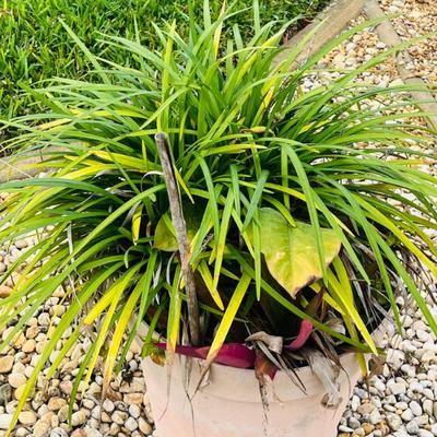 Sale Photo Thumbnail #20