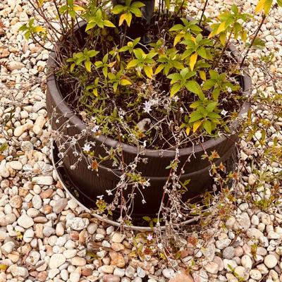 Sale Photo Thumbnail #54