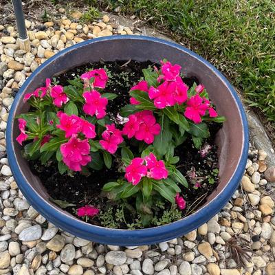 Sale Photo Thumbnail #67