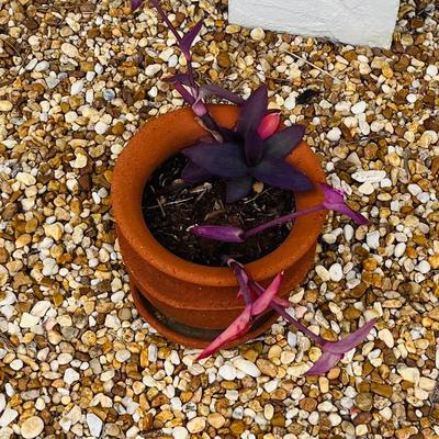 Sale Photo Thumbnail #81