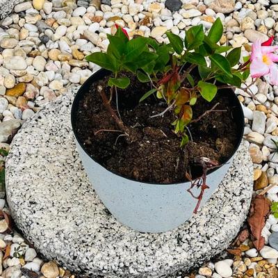 Sale Photo Thumbnail #88