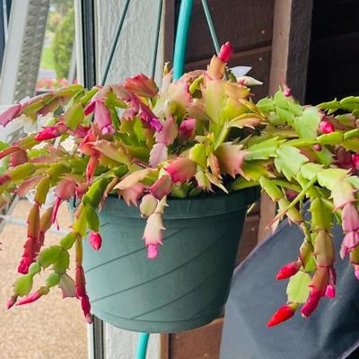 Sale Photo Thumbnail #41