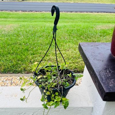 Sale Photo Thumbnail #96