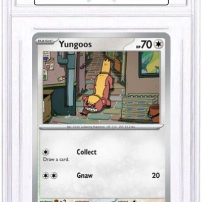 Sale Photo Thumbnail #181