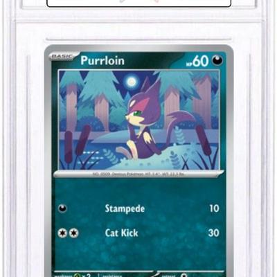 Sale Photo Thumbnail #284