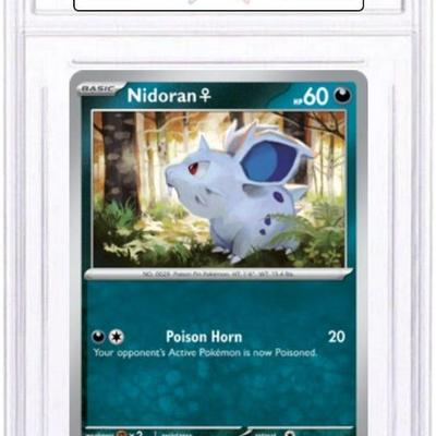 Sale Photo Thumbnail #256