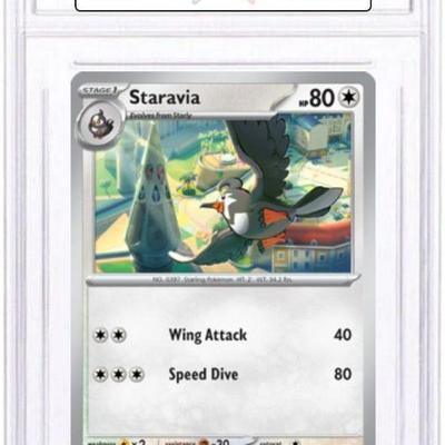 Sale Photo Thumbnail #82