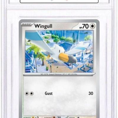 Sale Photo Thumbnail #145