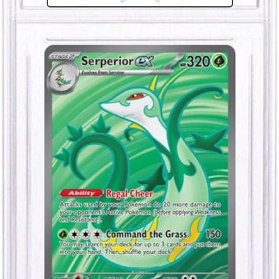 Sale Photo Thumbnail #272