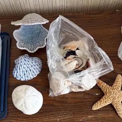 Mystery Lot Of Shells