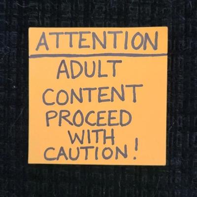 Adults Only - Vintage Vinyl LP And Book (Proceed With Cautiion)