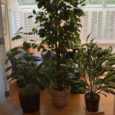 Artificial House Plants