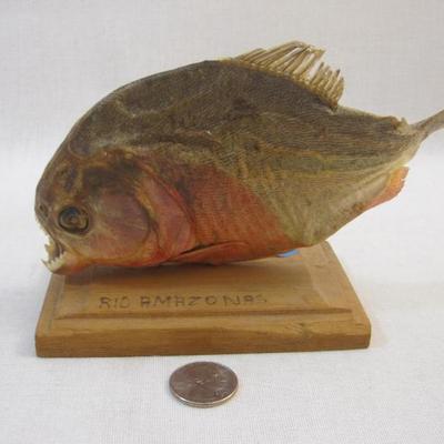 Sale Photo Thumbnail #114