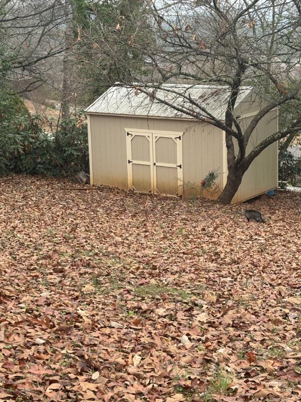 Sale Photo Thumbnail #5