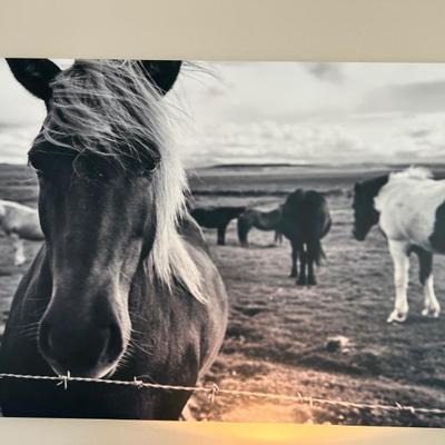 Sale Photo Thumbnail #156