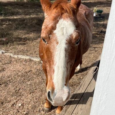 Sale Photo Thumbnail #114