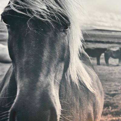 Sale Photo Thumbnail #155