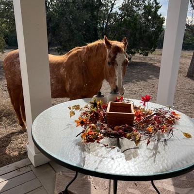 Sale Photo Thumbnail #113