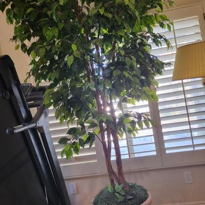 Sale Photo Thumbnail #92