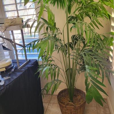 Sale Photo Thumbnail #45