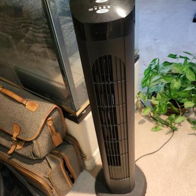 Sale Photo Thumbnail #95