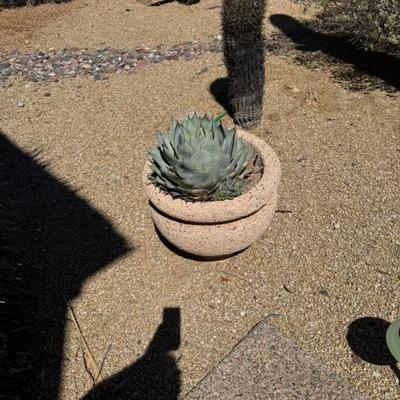 Sale Photo Thumbnail #125