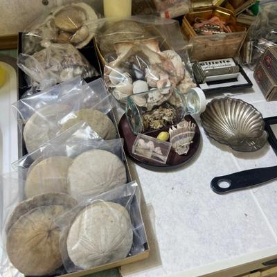 Sale Photo Thumbnail #105