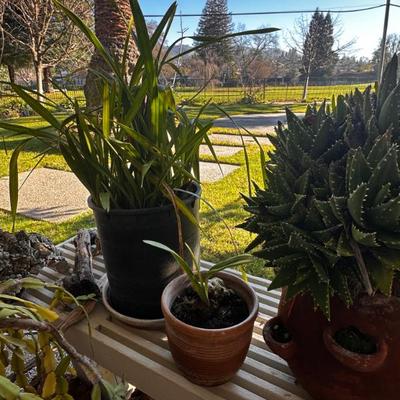 Sale Photo Thumbnail #523