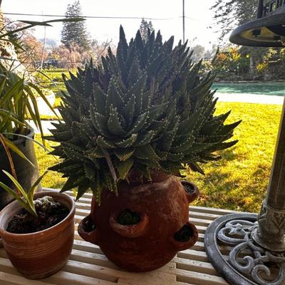 Sale Photo Thumbnail #518