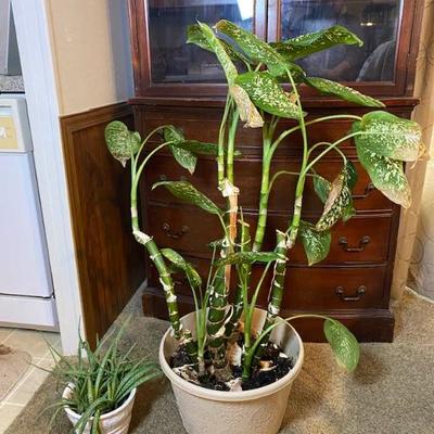 Sale Photo Thumbnail #308