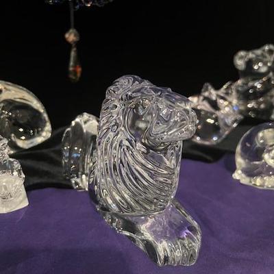 Sale Photo Thumbnail #27: Lion!