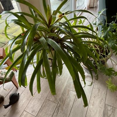 Sale Photo Thumbnail #45